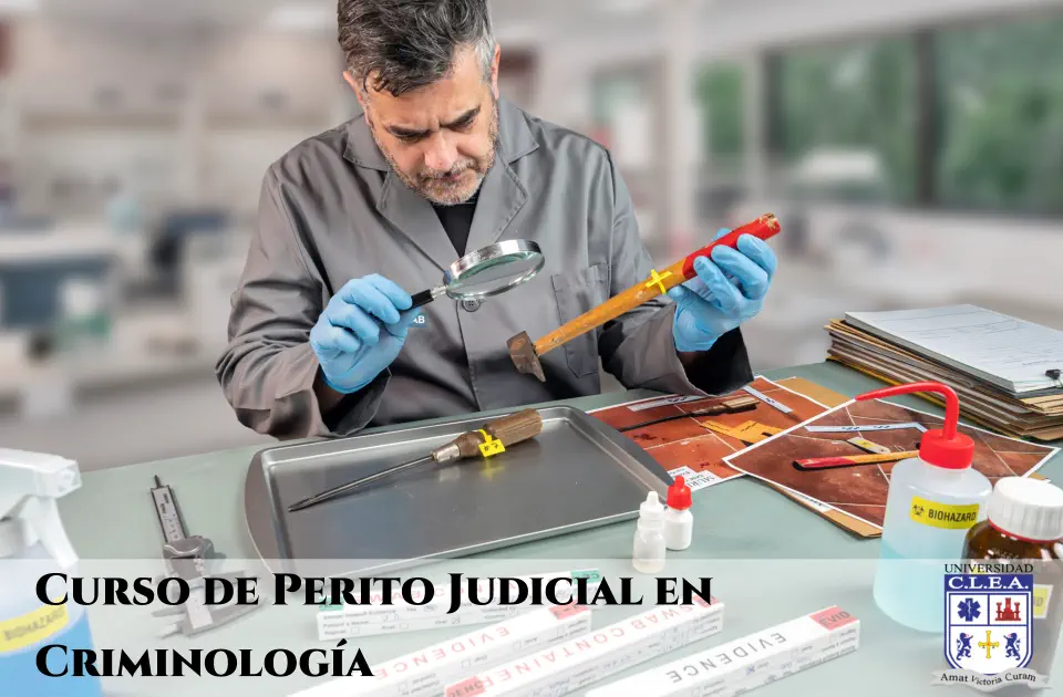 Curso de Perito Judicial en Criminología